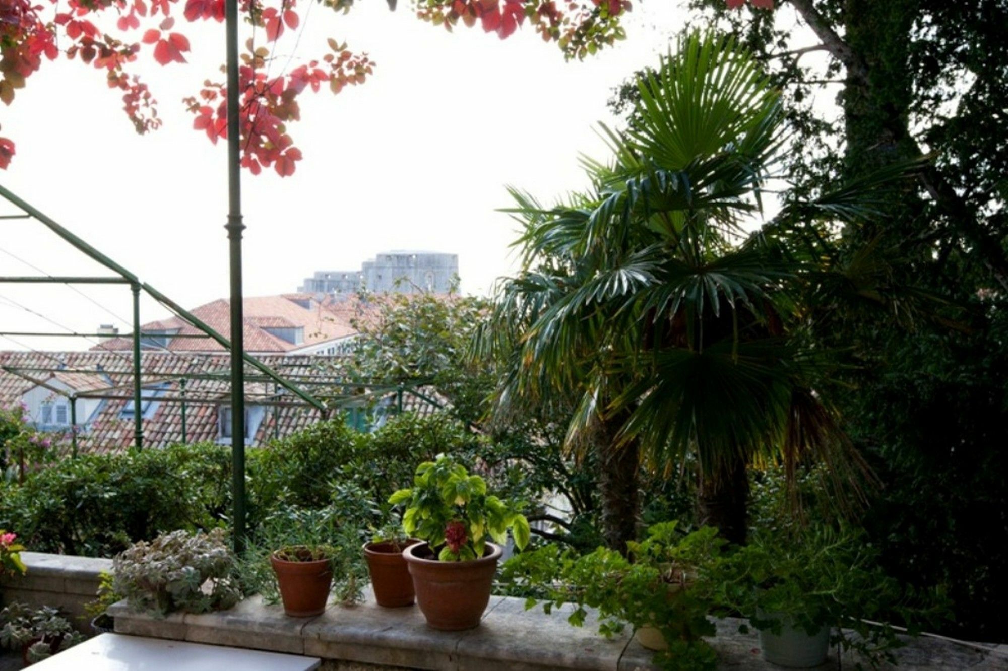 Iveta Appartement