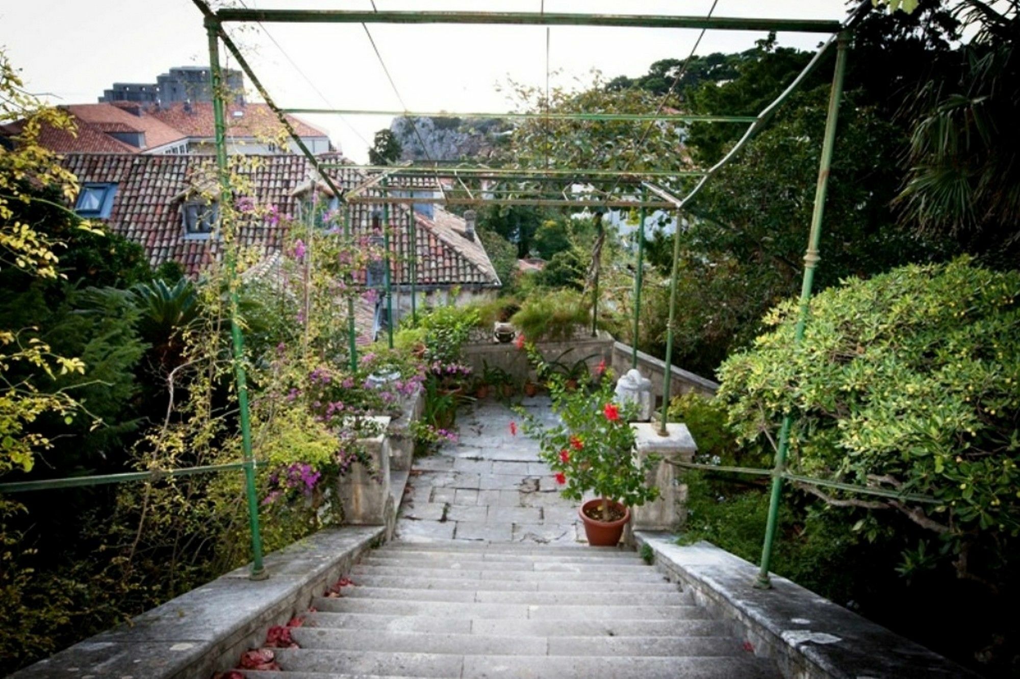 Iveta Appartement Dubrovnik