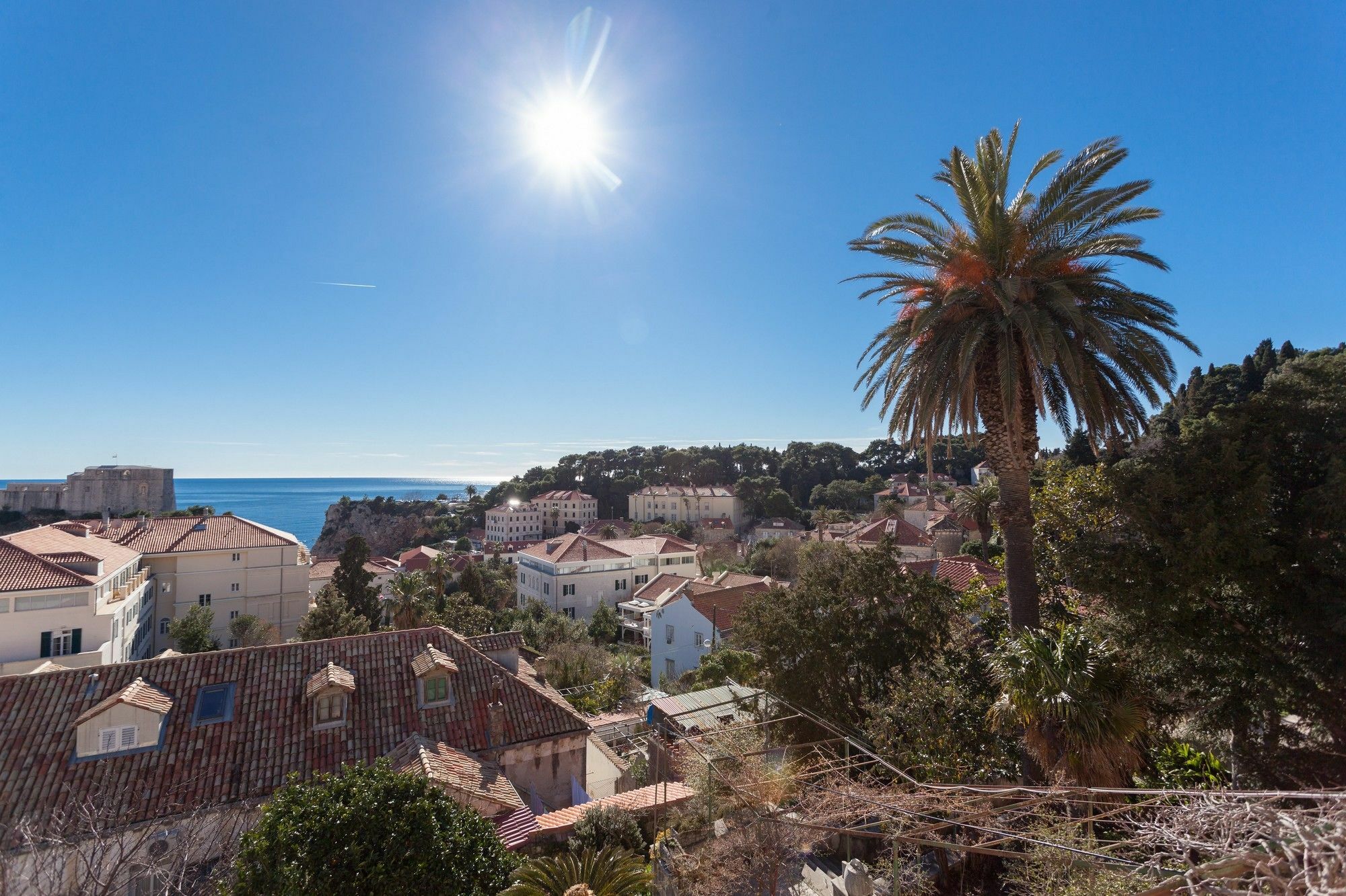 Iveta Dubrovnik